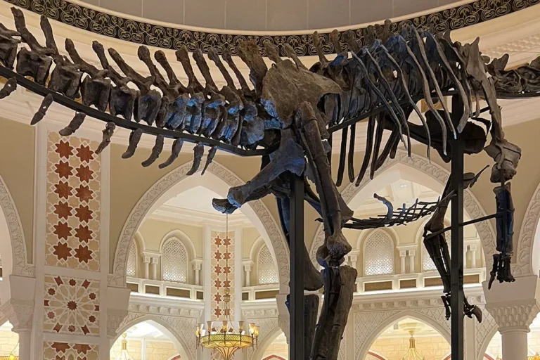 Dubai Dino dinosaur skeleton inside Dubai Mall