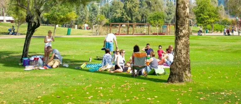 Discovery Gardens Dubai
