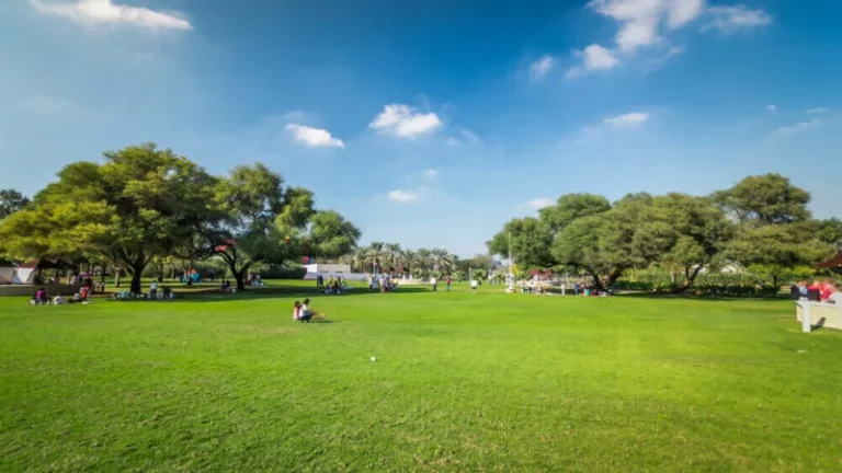 Karama Park Dubai: The Complete 2026 Local Guide Karama Park Dubai