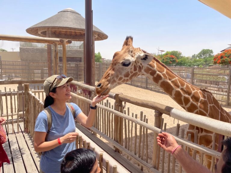 Dubai Safari Park in Al Warqa Dubai UAE